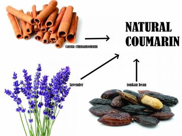 WHERE CAN COUMARIN BE FOUND IN NATURE?