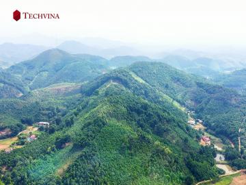 SUSTAINABLE CASSIA DEVELOPMENT IN VIETNAM