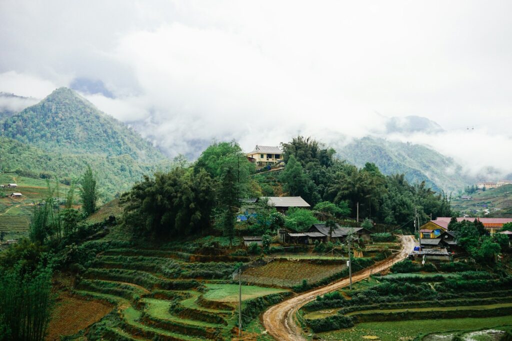 green trees on green grass field near mountain during daytime