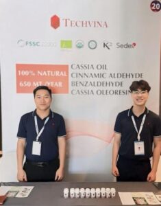 Techvina's knowledgeable business team