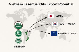 Vietnam essential oils export destinations and certifications infographic