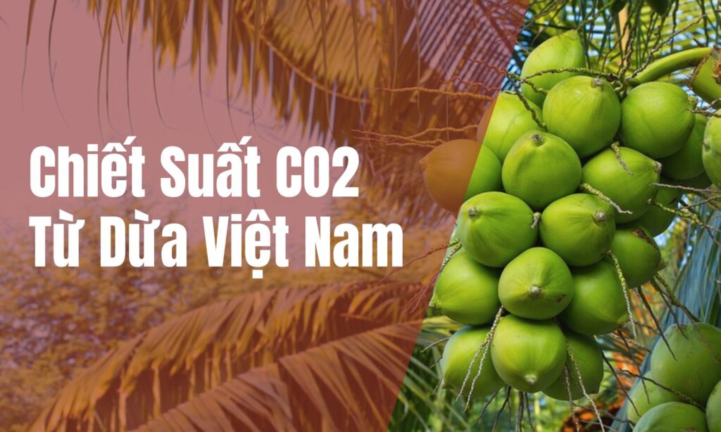 Chiết suất CO2 từ Dừa tại Techvina